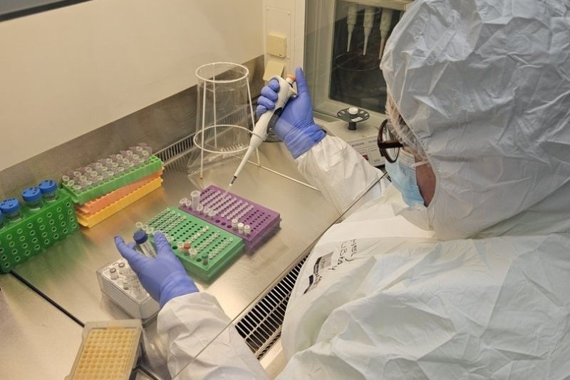 2.500 Yıllık İnsan Kalıntılarında Herpes Virüsü Genomu Bulundu