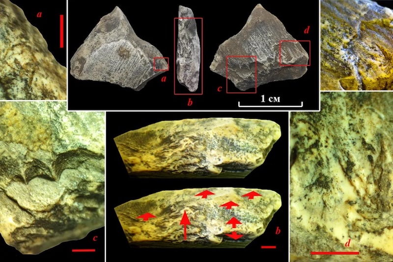 400.000 Yıllık Mamut Dişi Eserler, Çocuk Oyuncağı Olabilir
