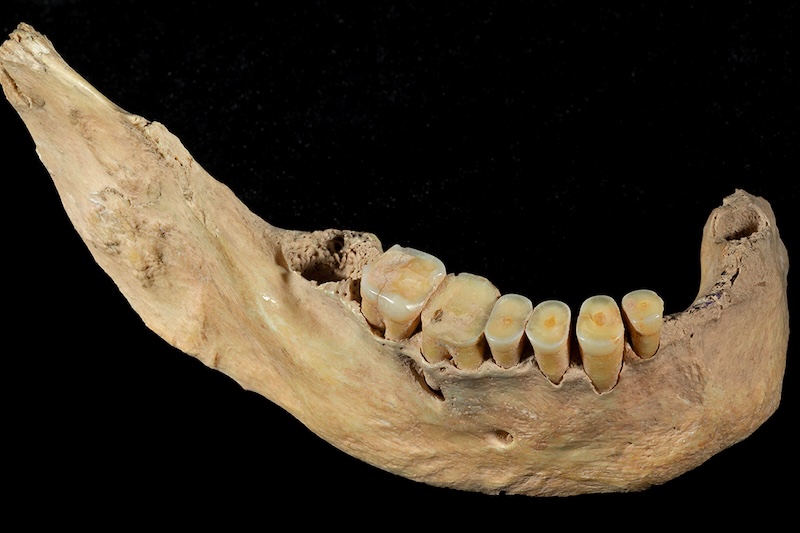 Kuzey Doğu Asya’da Bilinmeyen Bir İnsan Soyu Keşfedildi