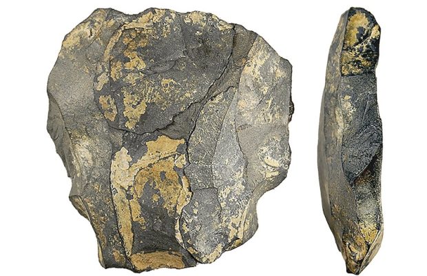 Güney Afrika’daki İnsanlar 220.000 Yıl Önce Taş Çıkarıyordu