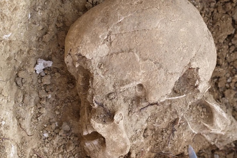 Neolitik Anıta Gömülen Bir Adamın Yaşayan Akrabaları Bulundu