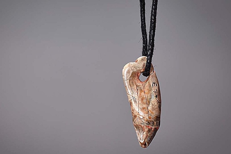 15.000 Yıllık Bu Kolye Fok Dişinden Yapılmış