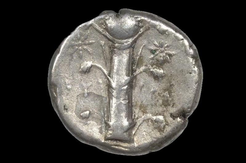 İnsanlar Doğum Kontrolü ve Afrodizyak için Bu Bitkiye Takıntılıydı