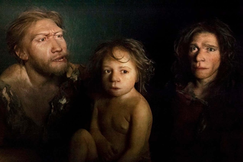 Neandertal Bebekleri Modern İnsanlara Kıyasla Devasa Boyuttaydı